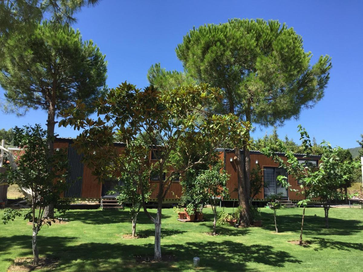 Sakiz Tiny House & Apart Urla Dış mekan fotoğraf